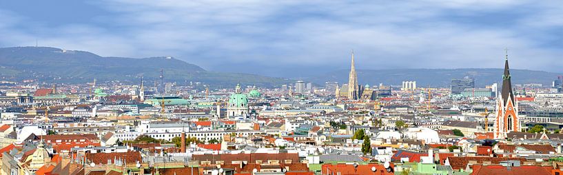 Panorama von Wien von Leopold Brix