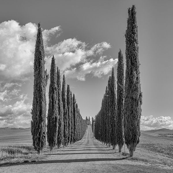 Italie en carré noir et blanc, Toscane par Teun Ruijters