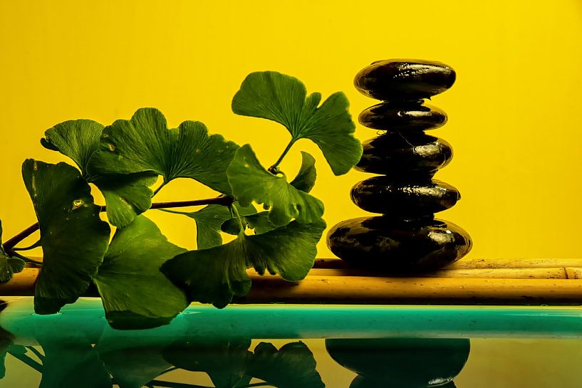 Gingko und Bambus von Thomas Riess