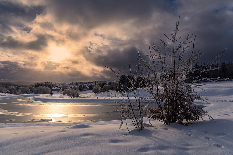 Paysage en hiver dans la forêt de Thuringe, près de Schmied par Rico Ködder