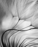 Stützen Sie sich auf mich