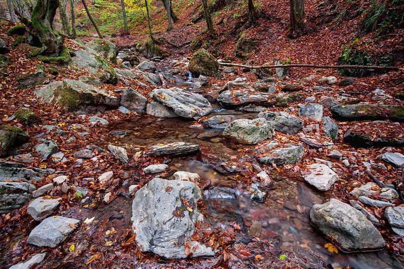 Ninglinspo von Rob Boon