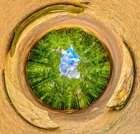 360° view Zevenster Tervuren