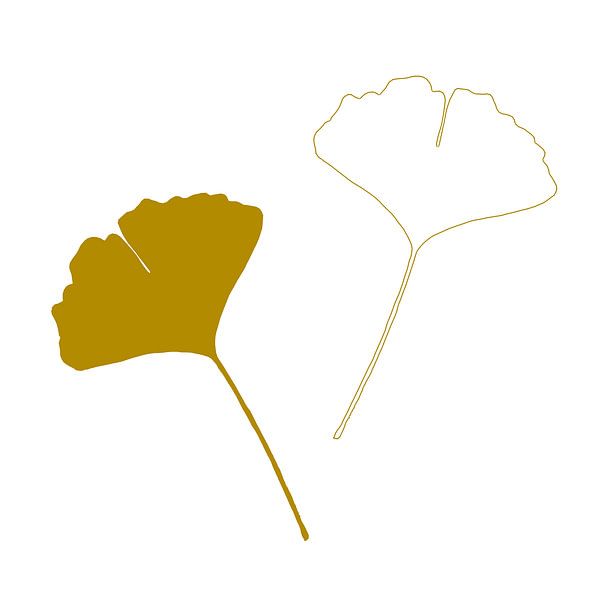 Feuille de Gingko Biloba ou arbre du Temple, abstraite et minimaliste I par Caroline Drijber