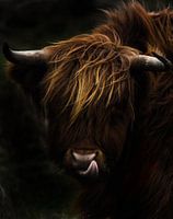 A portrait of a Scot