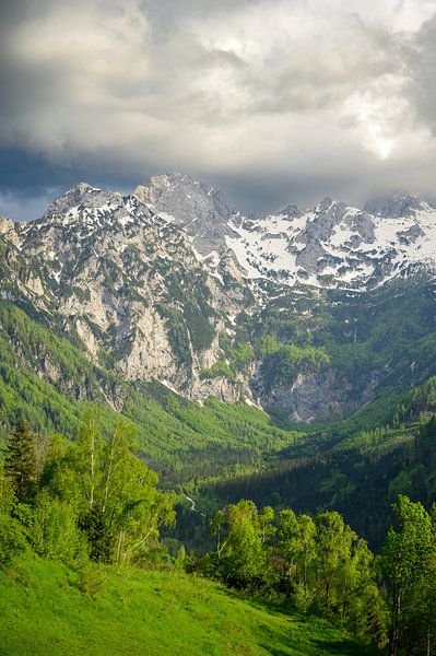 Vellacher Kotschna Tal in den Kamnik Savinja Alpen in Österreich von Sjoerd van der Wal Fotografie