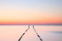 Between Darkness And Wonder