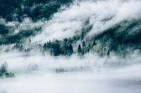 Nature view in Røldal