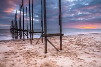 Jetty the Friendship