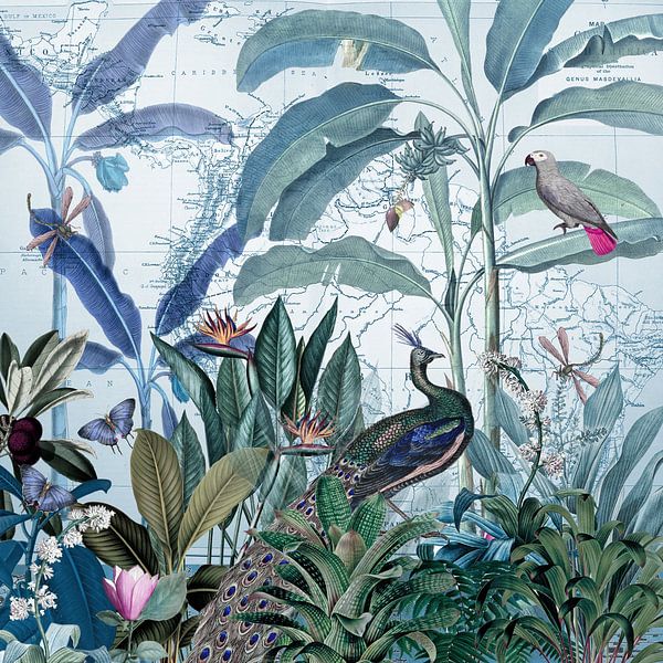 Der Pfau inspiziert sein tropisches Reich von christine b-b müller