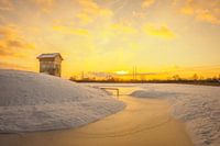 Quartiere für Fledermäuse und Uferschwalben
