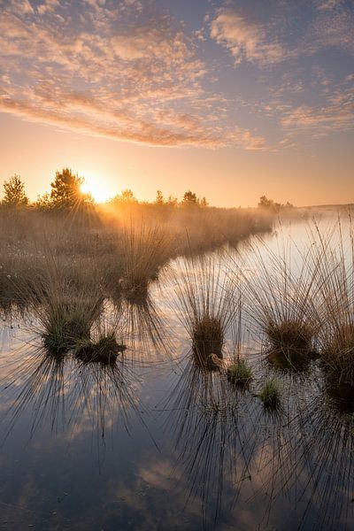 Morning Reflections by Raoul Baart