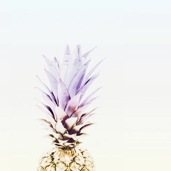 PASTEL PINEAPPLE no3 von Pia Schneider