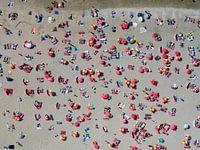 Sonnenanbeter am Strand von Zandvoort an einem heißen Sommertag