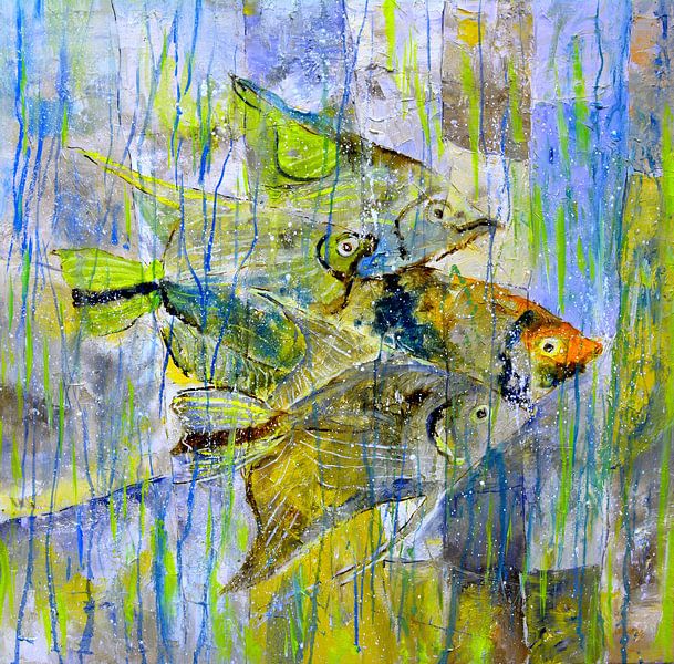 Tropical fish par pol ledent
