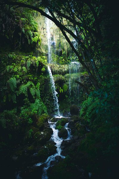 großer Wasserfall im Dschungel von Madeira von jonathan Le Blanc
