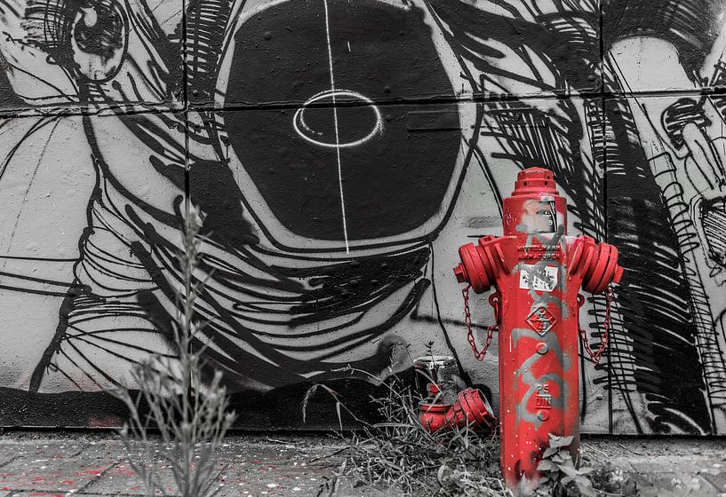Red fire hydrant by Ans Bastiaanssen