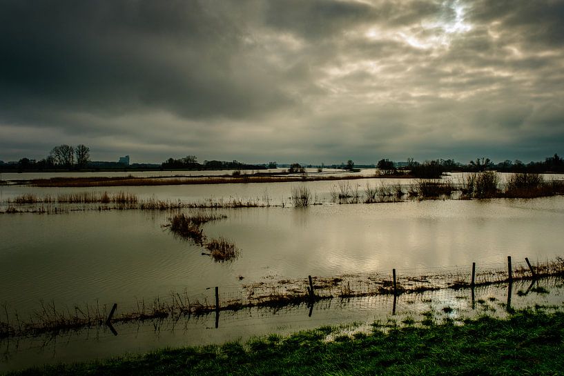 icecream by nol ploegmakers