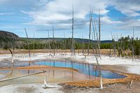 Paysage de geyser dans le PN de Yellowstone