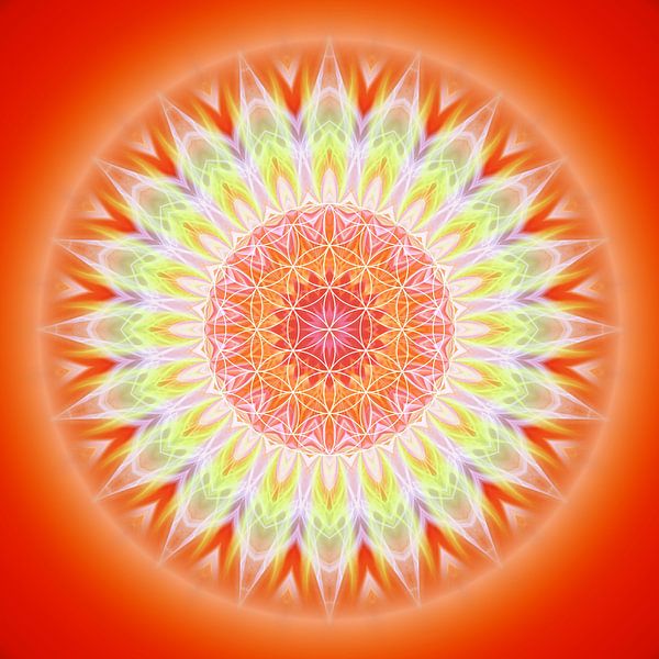 Mandala de la santé avec la fleur de la vie par Christine Bässler