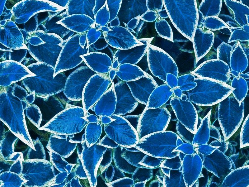 Blaue Blätter (Blätter in Blau) von Caroline Lichthart