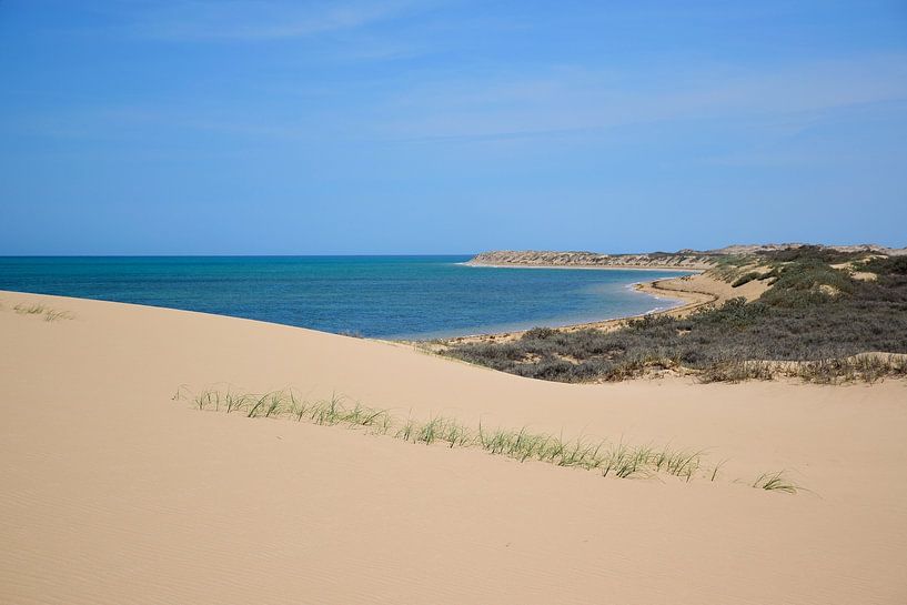 Arrivé en haut de l'échelle par Frank's Awesome Travels