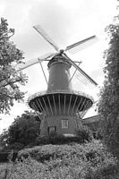 Molen de Windhond