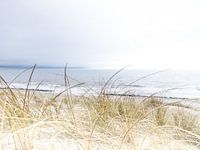 Sur la dune à Årgab