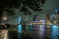 Views over Maas Rotterdam, Erasmus Bridge, cruise ship and De Rotterdam