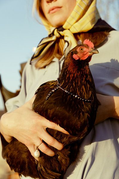 Das Mädchen mit der Narzisse von Laura Knipsael