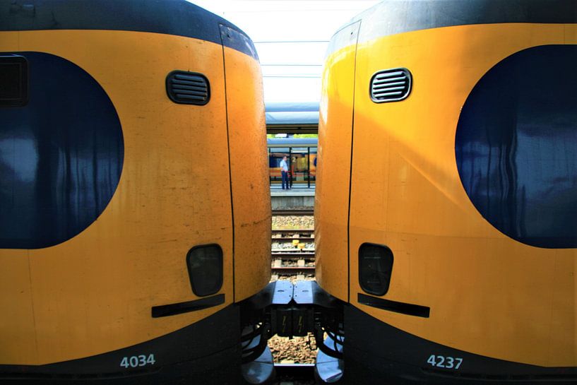 Trein kop-staart bij Woerden by Christiaan Klompstra
