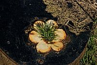 Poursuivre la croissance