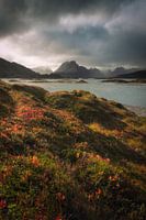 Autumn storm in the Lofoten