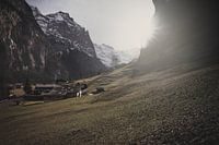 Sonnenuntergänge im Grindewaldtal