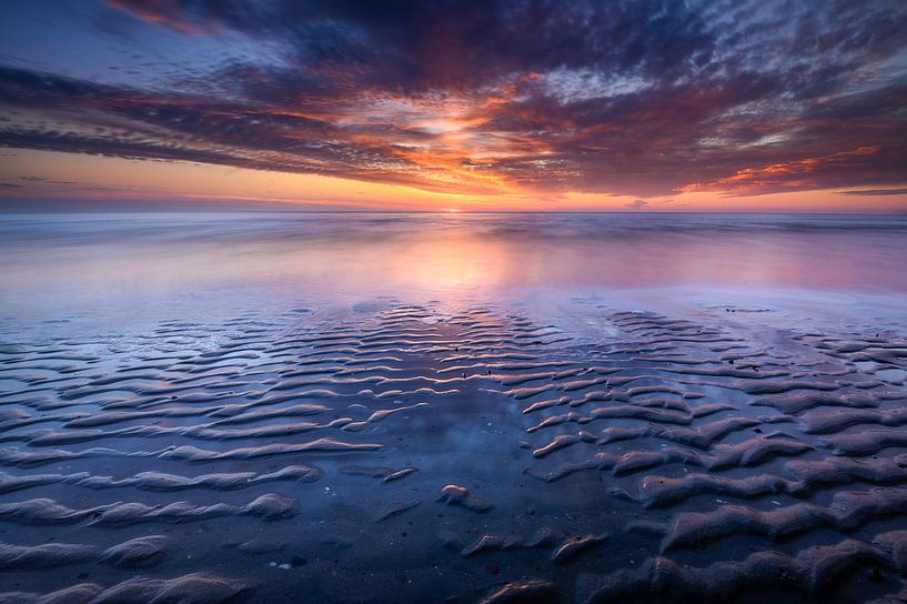 The Ribs by Ellen van den Doel