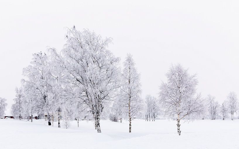 Snowy Norwegian landscape by Adelheid Smitt