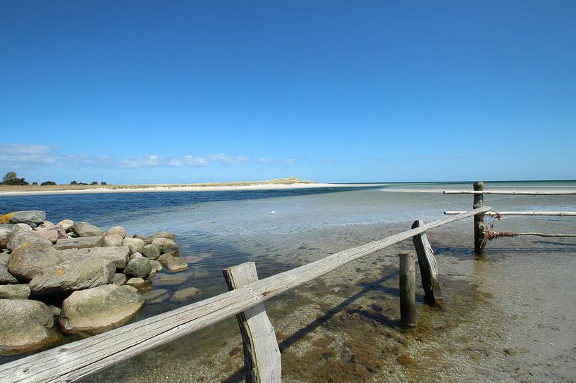 Naturschutzgebiet Darß by Heike Hultsch