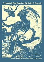 A Hornbill And Another Bird On A Branch by Circle of Aert Schouman