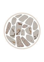 Steine am Strand gefunden zwei