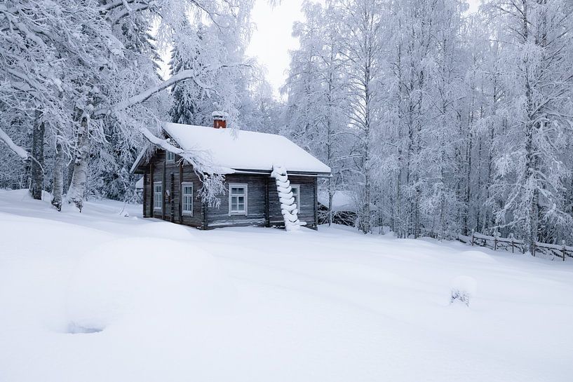 Snowy wooden house in winter landscape by Martijn Smeets