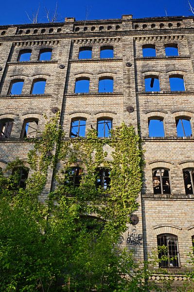Ruine de l'entrepôt du complexe de moulins Böllberg à Halle en Allemagne par Babetts Bildergalerie