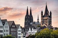 Cityscape Cologne with the Cathedral and the Great St Martinus
