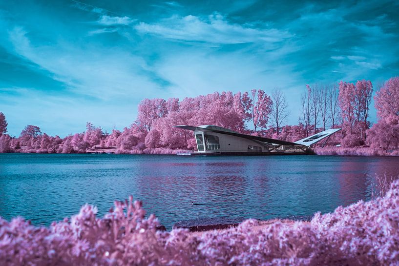 chambre avec vue par Pieter Heine