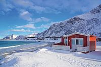 L'hiver dans les îles Lofoten