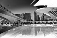 Stadtlinien, Valencia (Schwarz-Weiß)