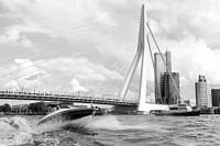 Rotterdam, Haven,  Deloitte kantoor, Erasmusbrug