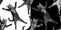 Foolish Cat in Weiß & Schwarz