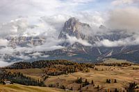 Dolomiti - Alpe di Siusi