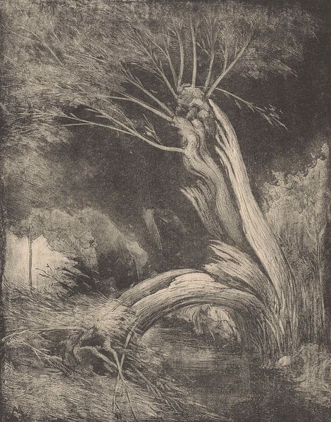 Simon Moulin, Gespaltene Weide. Die Verwundeten, 1925 von Atelier Liesjes