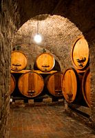 Wine cellar Tuscany